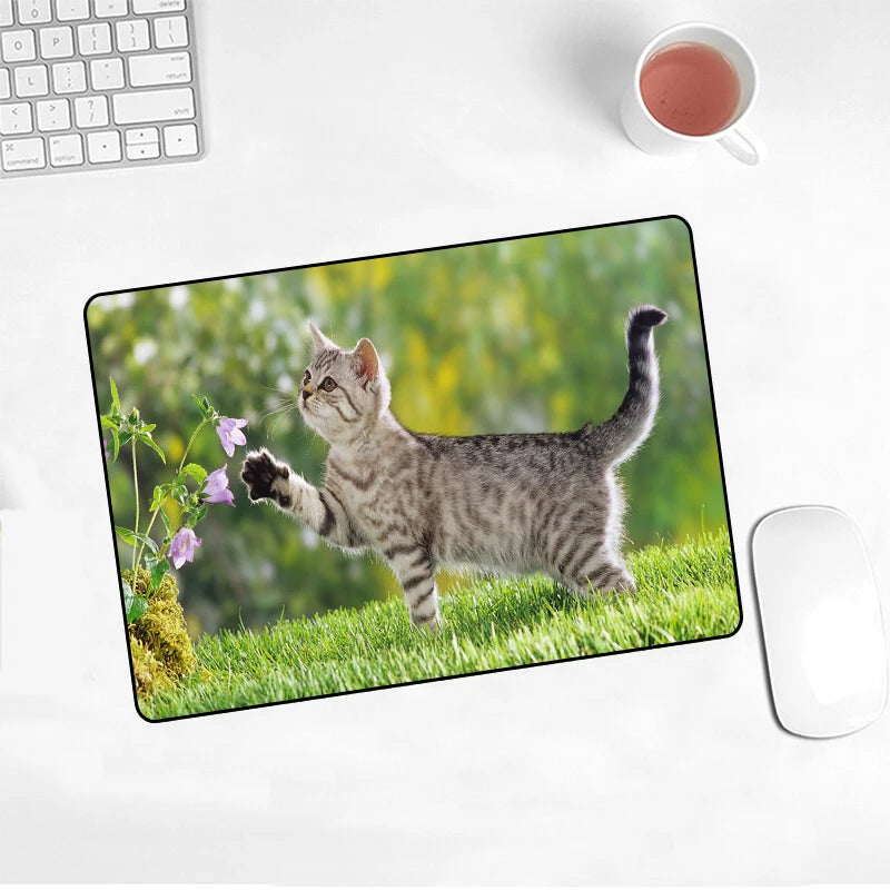 Cute Cat Mouse Pad Picture Pad Laptop Slip 220x180x2mm Mat For Cs Go/work Gaming New Kawaii Office Decoration Carpet Mouse Mat