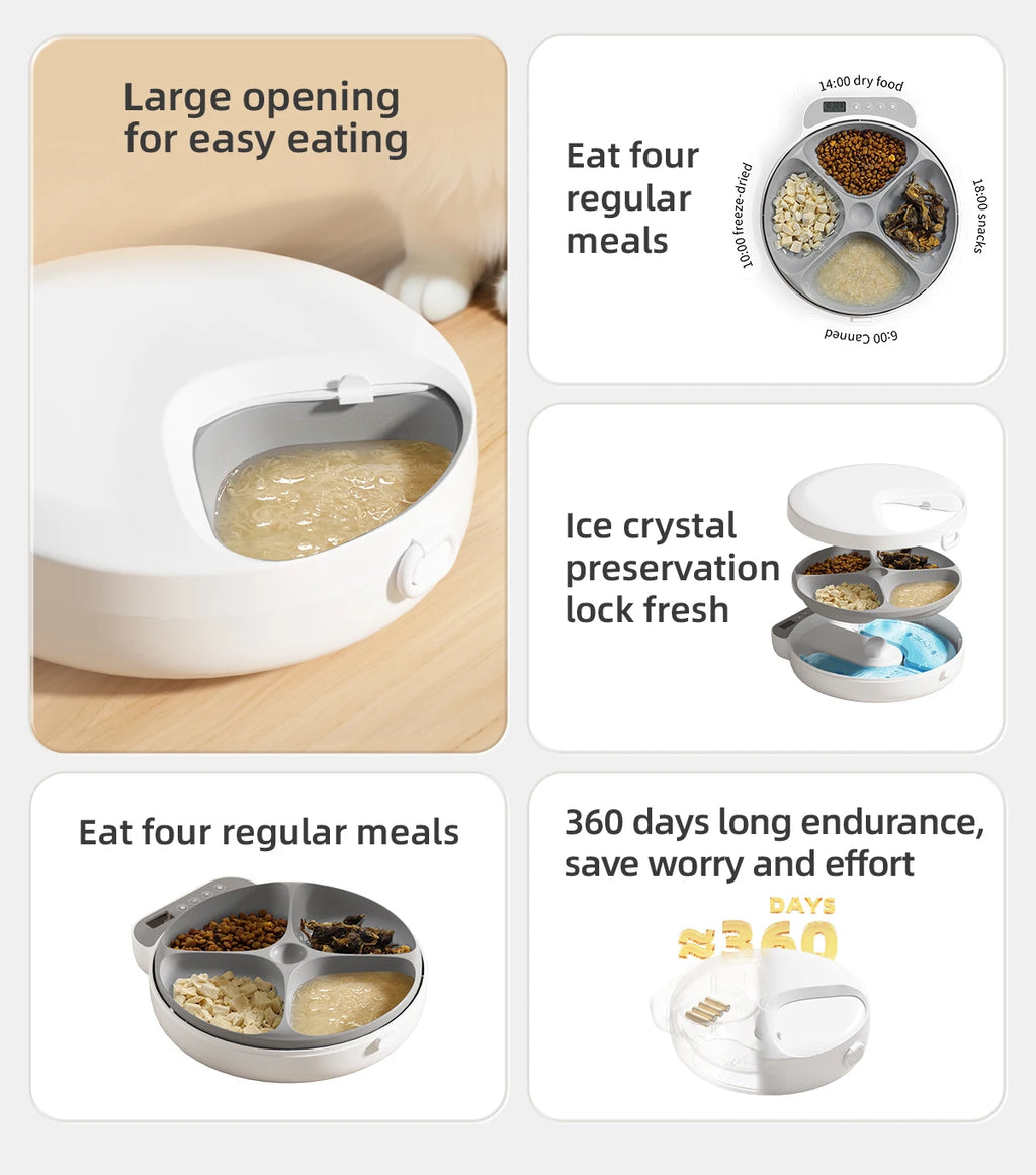 Automatic 4 Meal Pet Feeder with Large Capacity  Wet   Dry Food Fresh-Keeping Dispenser for Cats and Dogs
