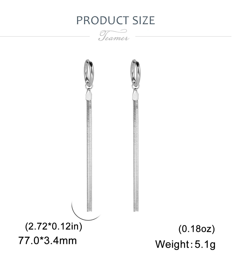 Teamer Stainless Steel Long Tassel Earrings for Women Girls Fashion Snake Chain Drop Earrings Aesthetic Engagement Jewelry Gifts