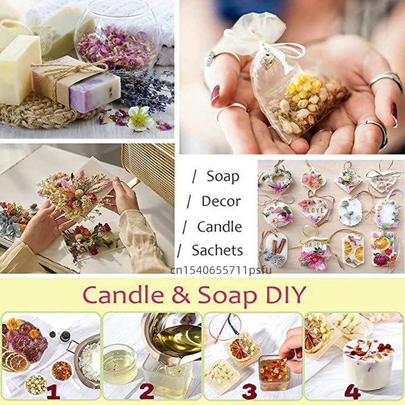 High Quality 100% Pure Natural Dried Aloe Vera Leaves Relax & Immunity Healthy Herbal Wedding Home Decor Soap Candle Making