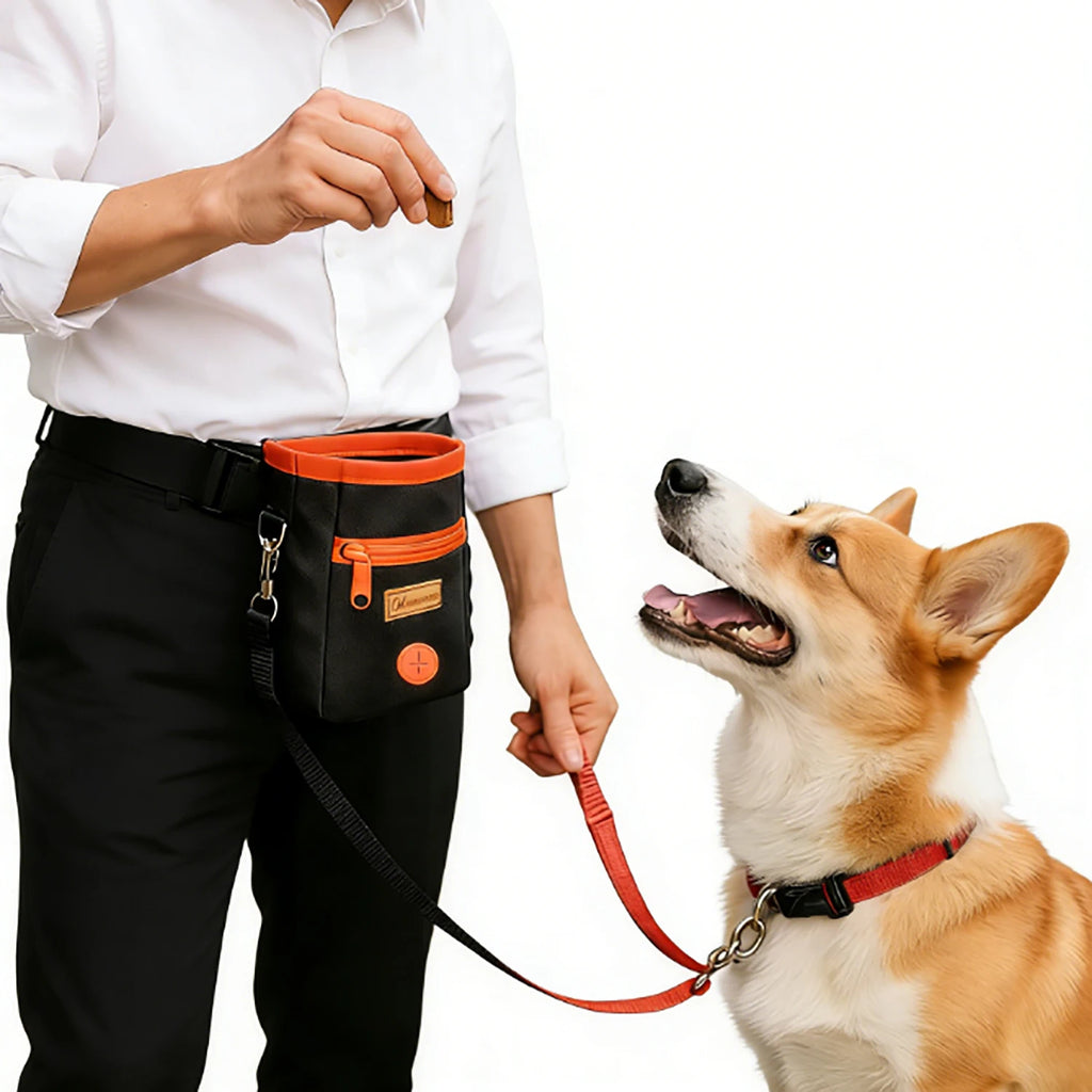 Pet Dog Food Packages Portable Outdoor Use Convenient Carrying Around Suitable Training Dogs Walking Dogs Containing Snack