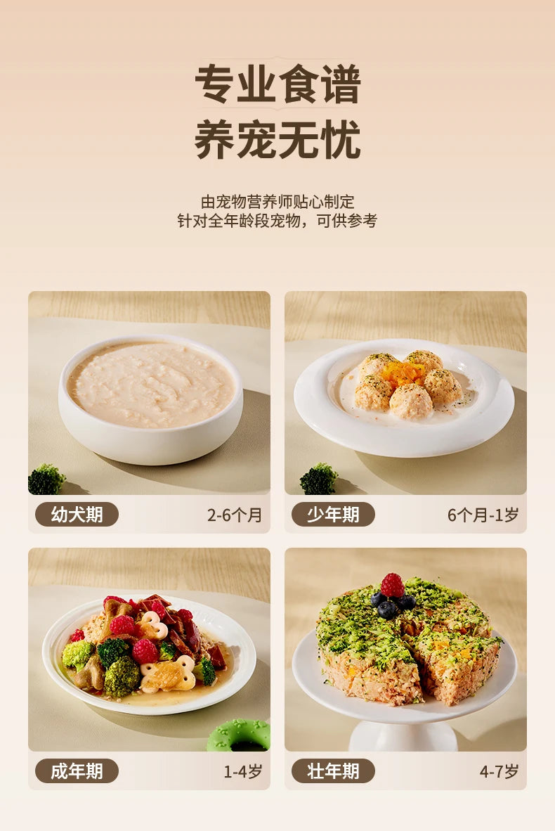 Pet Cooking Machine Multifunctional Cat and Dog Fresh Food Snacks Staple Food Homemade Cooking