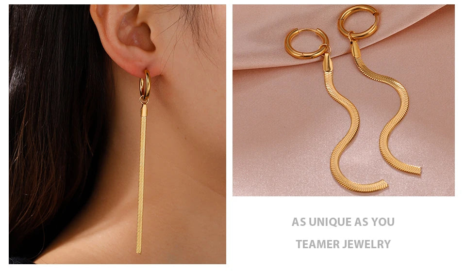 Teamer Stainless Steel Long Tassel Earrings for Women Girls Fashion Snake Chain Drop Earrings Aesthetic Engagement Jewelry Gifts