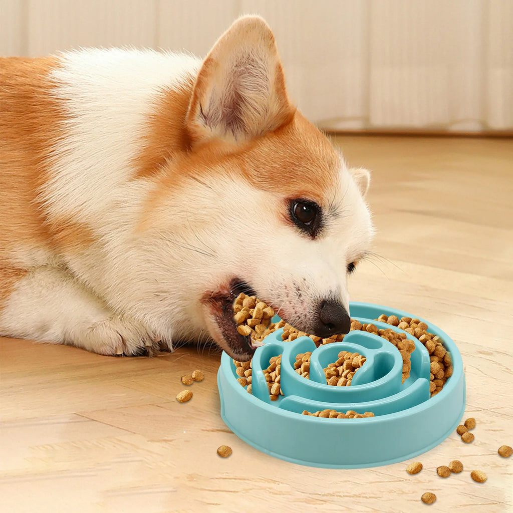 Pet Slow Food Bowl - Non slip and Durable - Suitable for pets of all sizes