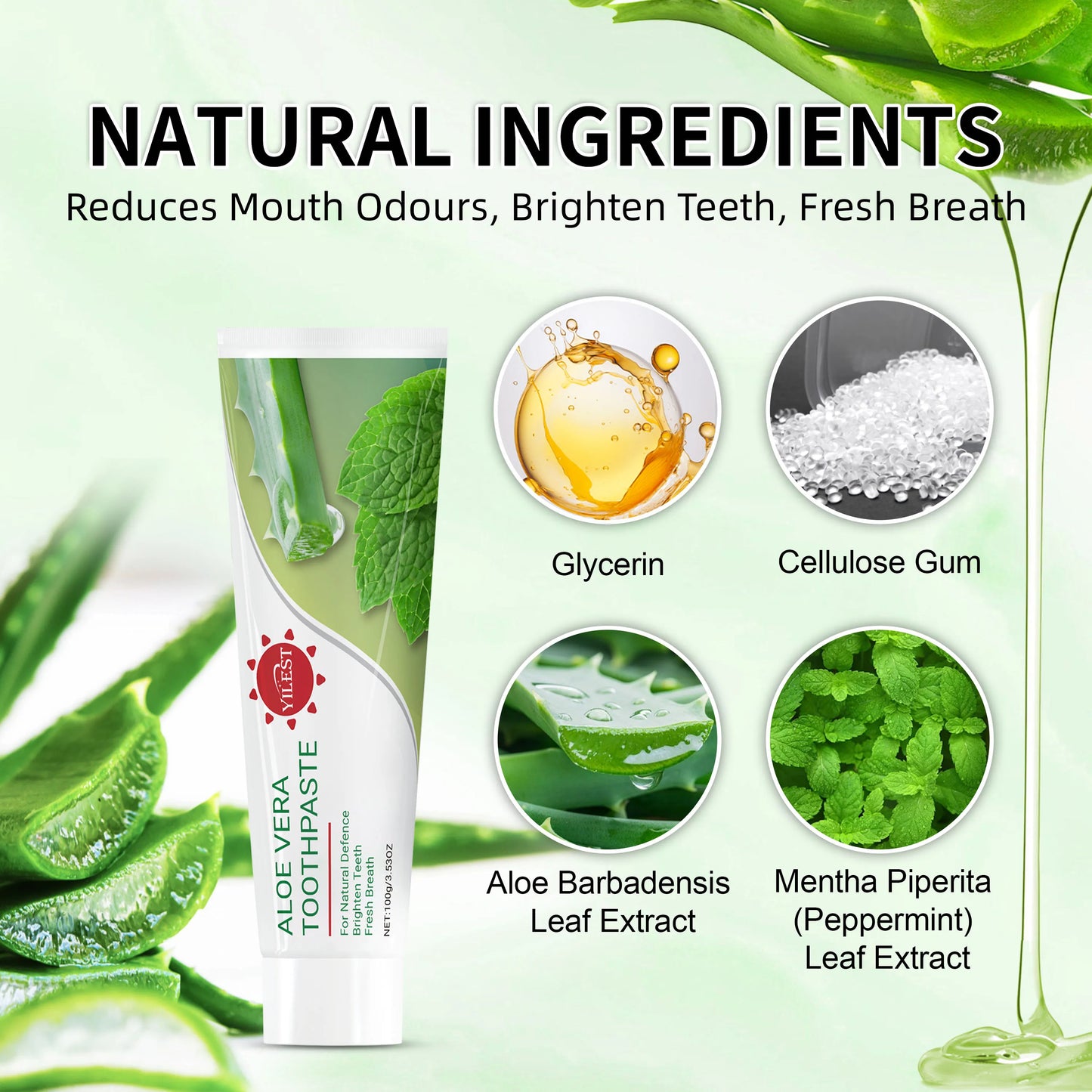 Aloe Vera Toothpaste 100g - Natural Mint Formula for Fresh Breath, Teeth Brightening & Gum Care, with Aloe & Peppermint Extract