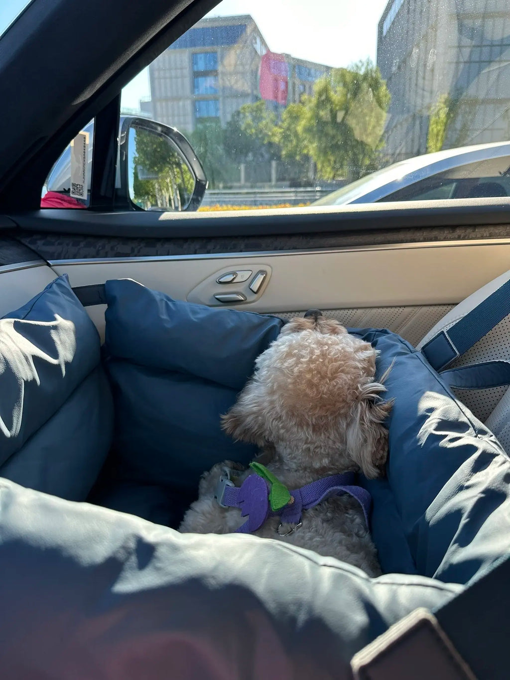 The Car Pet Bed Is Detachable and Washable, Suitable for All Four Seasons.waterproof and Biting Dog Bed Made of Leather PU